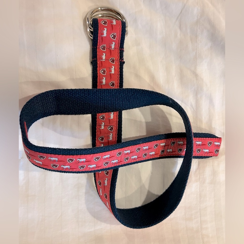 Vineyard Vines Women’s Belt D-Ring Preppy Zebra Blue Pink Size‎ Small 34”